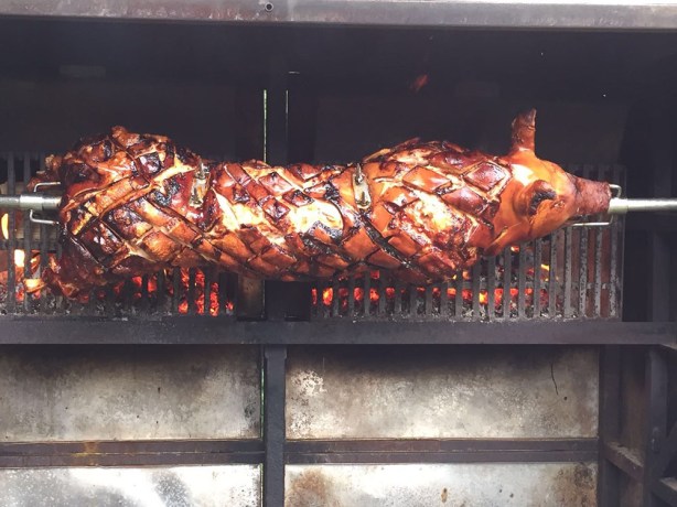 Zuhause wartet die Wutz