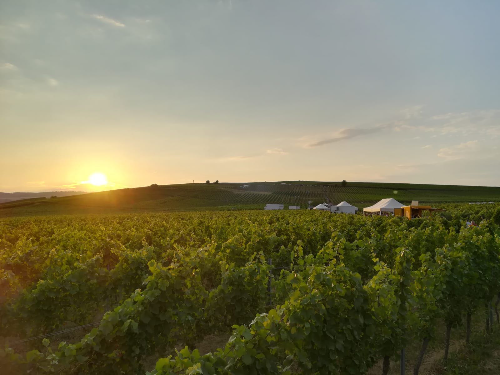 cc2a3df5-b945-4b6e-bfb0-f3a6eea5729c