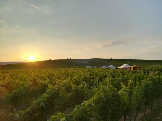 cc2a3df5-b945-4b6e-bfb0-f3a6eea5729c