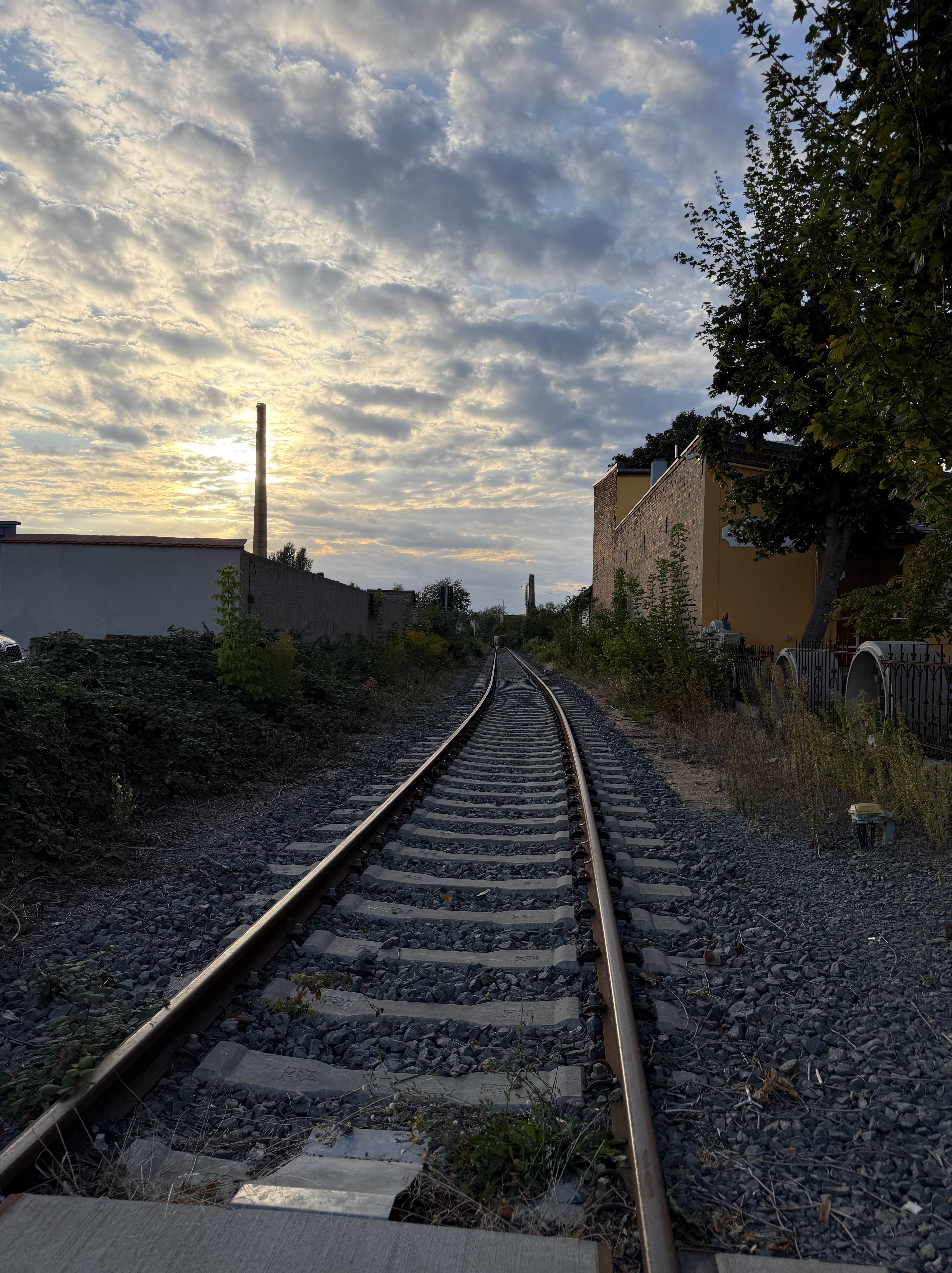 Ein Blick auf die Schienen einer Eisenbahn, die sich in eine leicht kurvige Linie zwischen Bäumen und Gebäuden erstrecken. Im Hintergrund sind Wolken und ein Sonnenuntergang zu sehen.